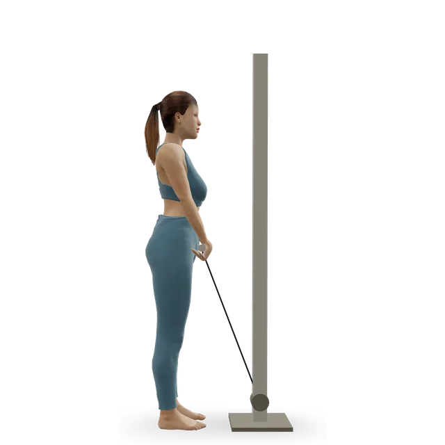 Cable upright row demonstrated on the 3D figure