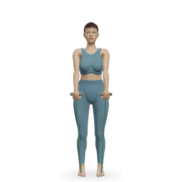 Band upright row demonstrated on the 3D figure
