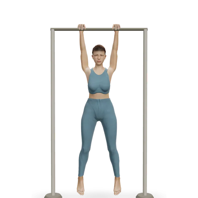 Weighted pull-up demonstrated on the 3D figure