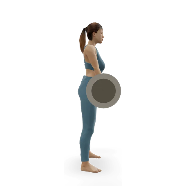 Wide Stance Stiff Legs demonstrated on the 3D figure