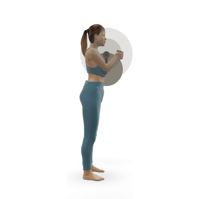 Zercher squat demonstrated on the 3D figure