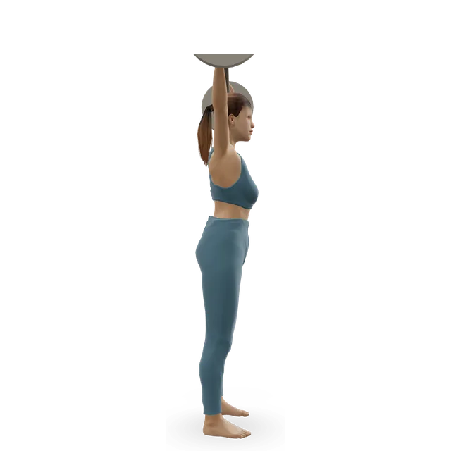 Overhead squat demonstrated on the 3D figure