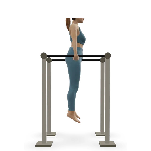 Parallel bar dip demonstrated on the 3D figure