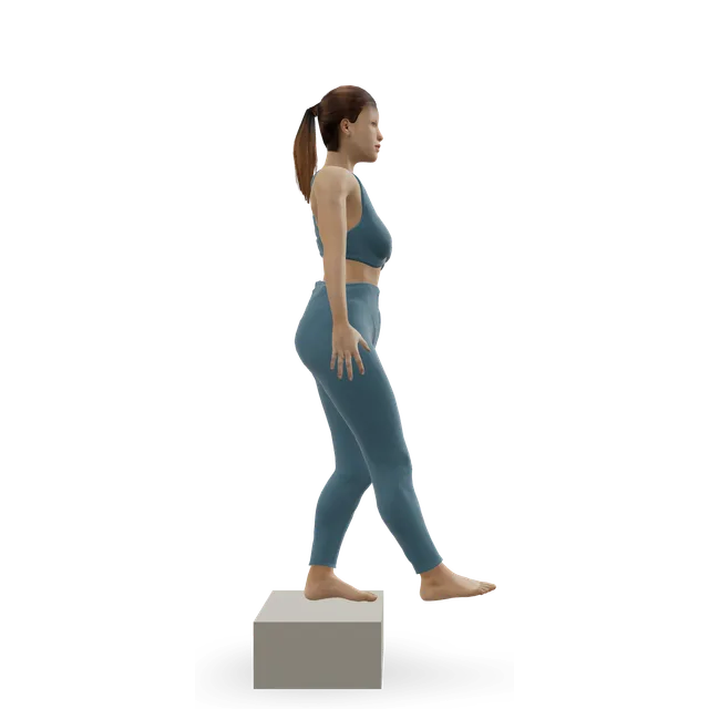 Patrick step-down demonstrated on the 3D figure
