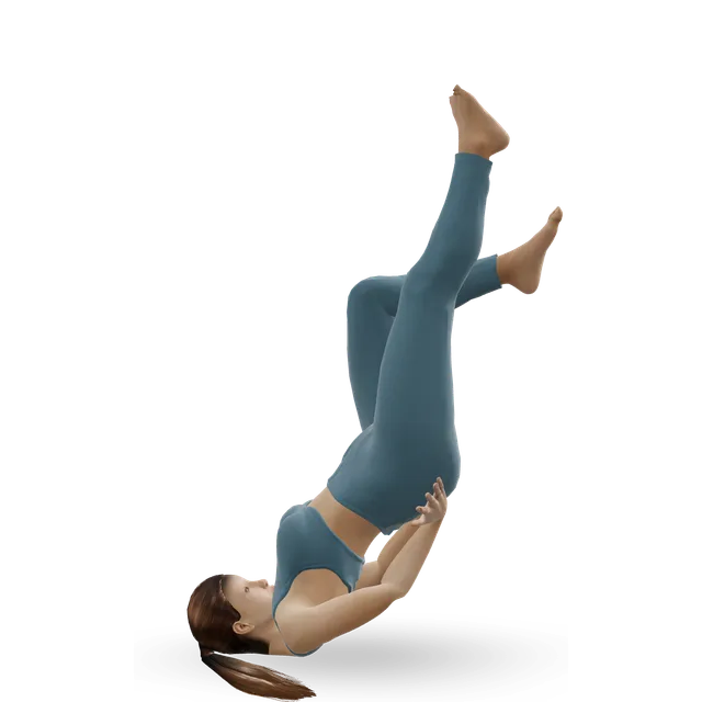 High bicycle (Pilates bicycle) demonstrated on the 3D figure