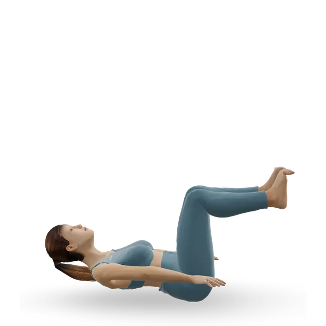 Hundred (Pilates) demonstrated on the 3D figure