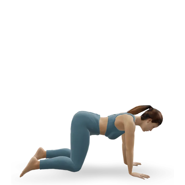 Knee hover (Pilates tabletop hover) demonstrated on the 3D figure