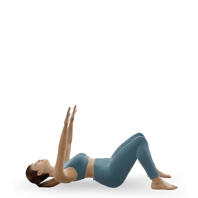 Roll-up (Pilates) demonstrated on the 3D figure
