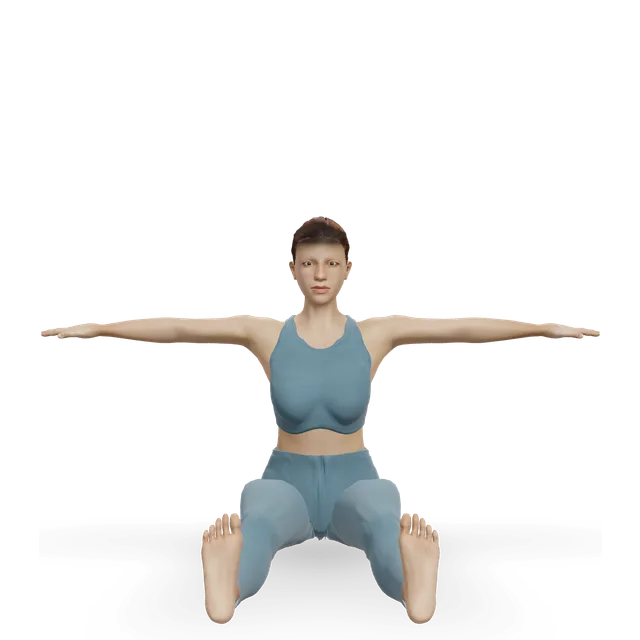 Spine twist (Pilates) demonstrated on the 3D figure