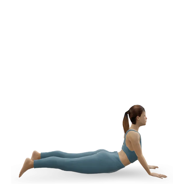 Swan (Pilates swan dive) demonstrated on the 3D figure