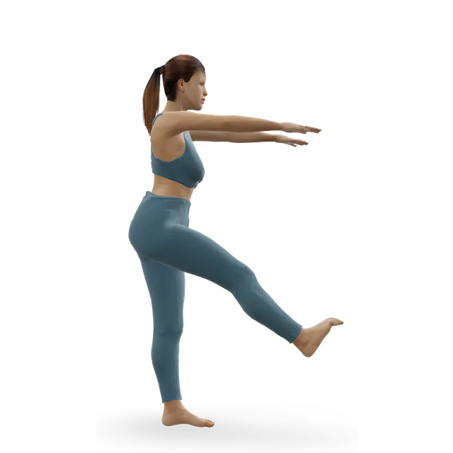 Pistol squat demonstrated on the 3D figure