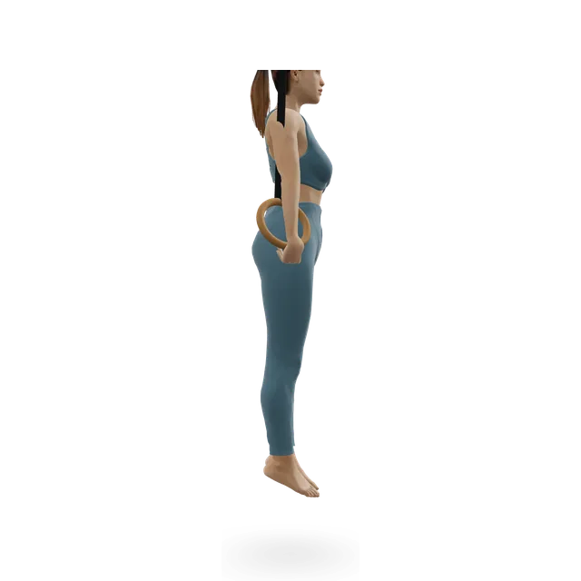 Ring dip demonstrated on the 3D figure