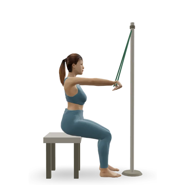 Seated band pull-down (from shoulder height) demonstrated on the 3D figure
