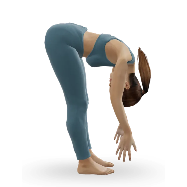 Segmental Roll Down demonstrated on the 3D figure