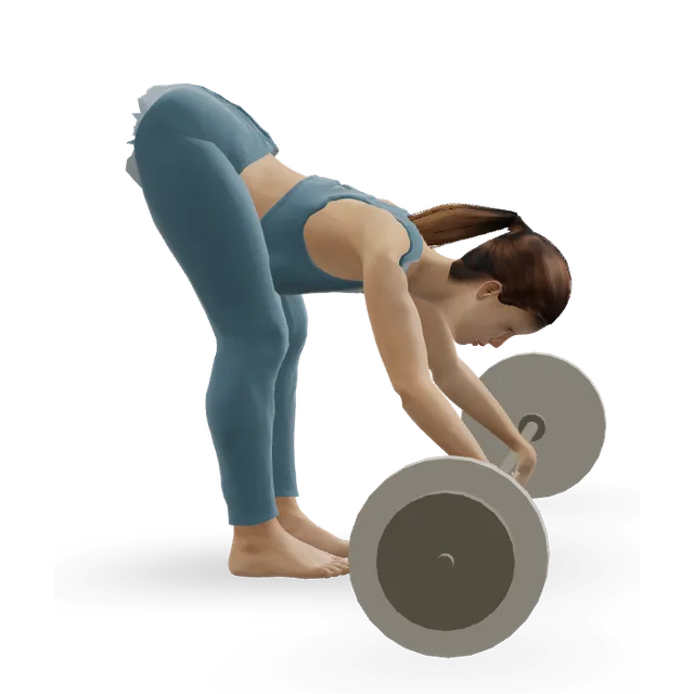 Standing ab wheel rollout demonstrated on the 3D figure