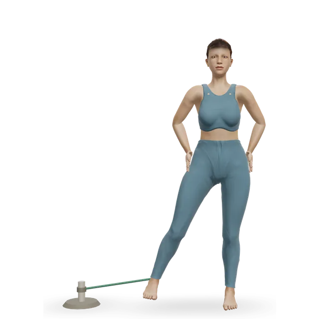 Standing band hip adduction demonstrated on the 3D figure