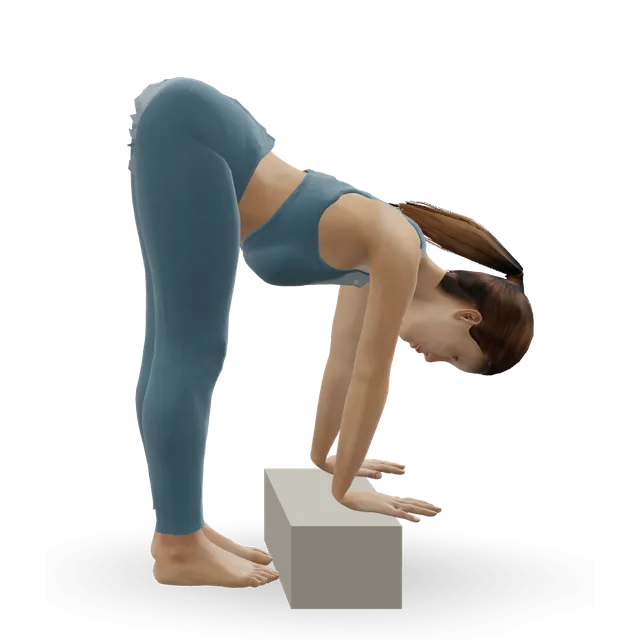 Standing splits (Urdhva Prasarita Eka Padasana) demonstrated on the 3D figure