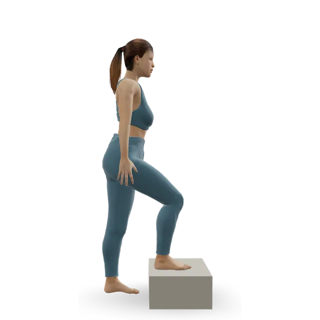 Step-up demonstrated on the 3D figure