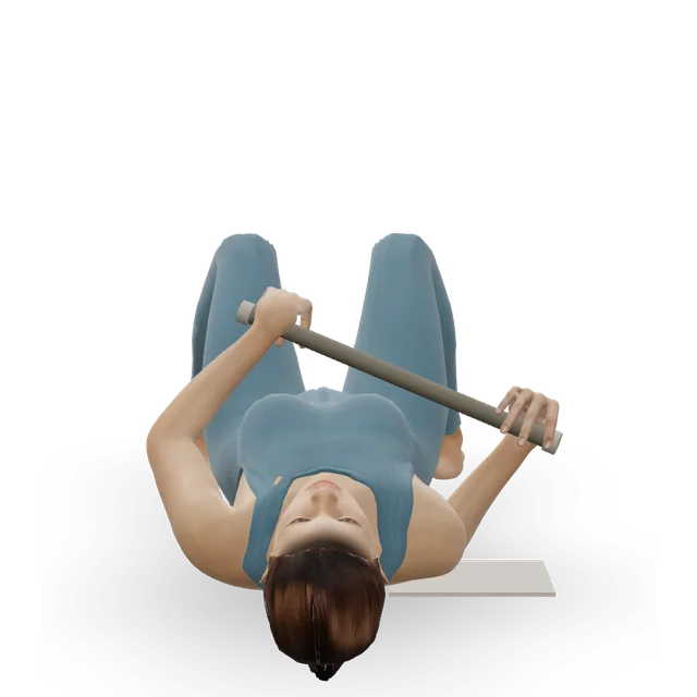 Stick-assisted external rotation (lying) demonstrated on the 3D figure