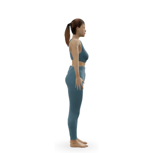 Sun salutation A (Surya Namaskar A) demonstrated on the 3D figure