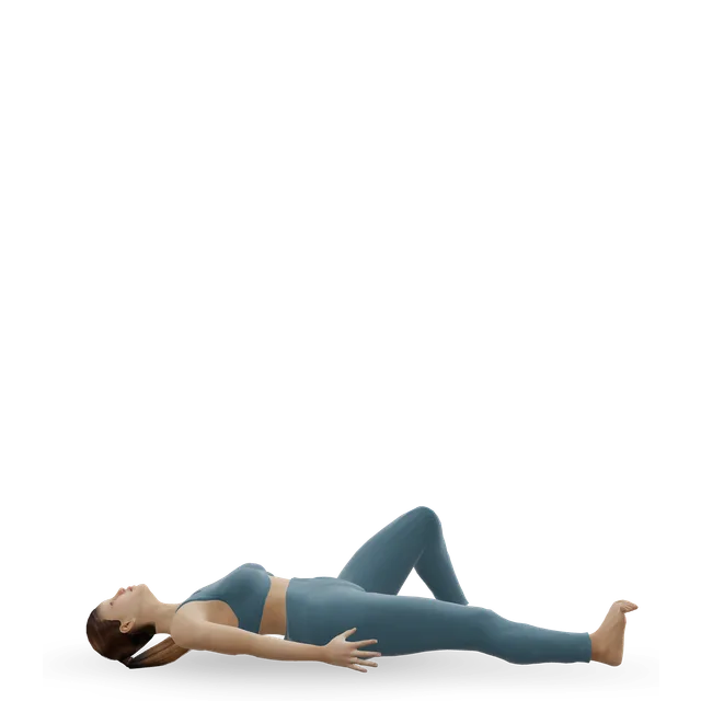 Supine heel slide demonstrated on the 3D figure
