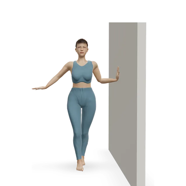 Tandem stance and heel-to-toe walk demonstrated on the 3D figure