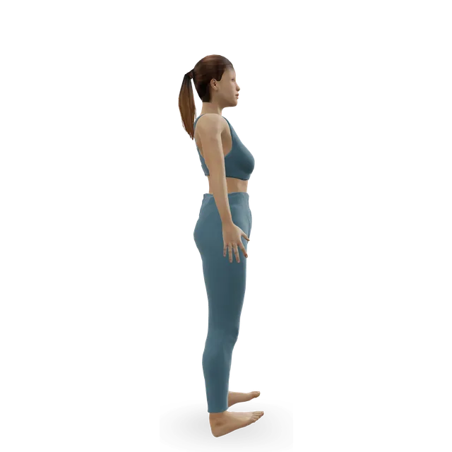 Tibialis raise demonstrated on the 3D figure