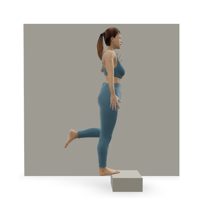 Heel raise with a towel under the toes demonstrated on the 3D figure