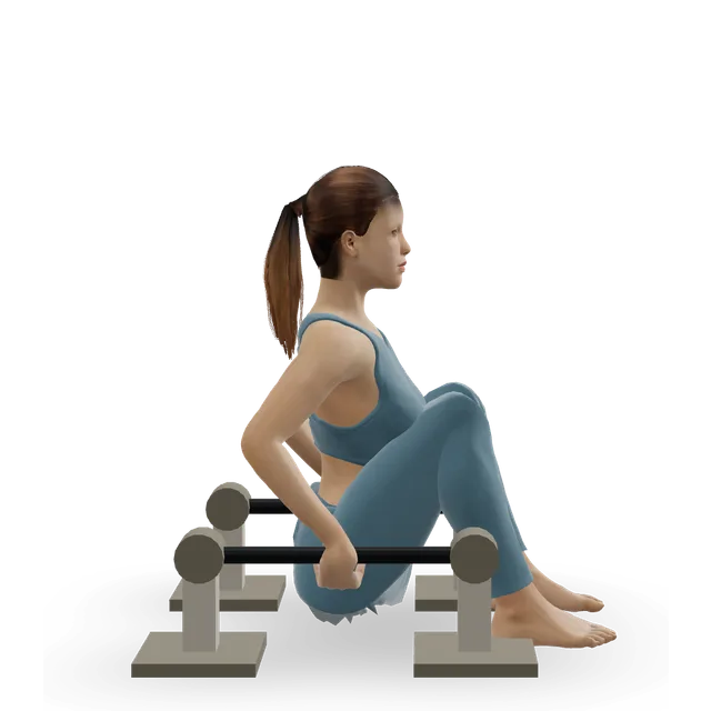 Tuck L-sit demonstrated on the 3D figure
