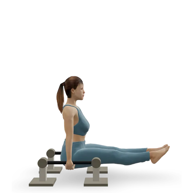V-sit demonstrated on the 3D figure