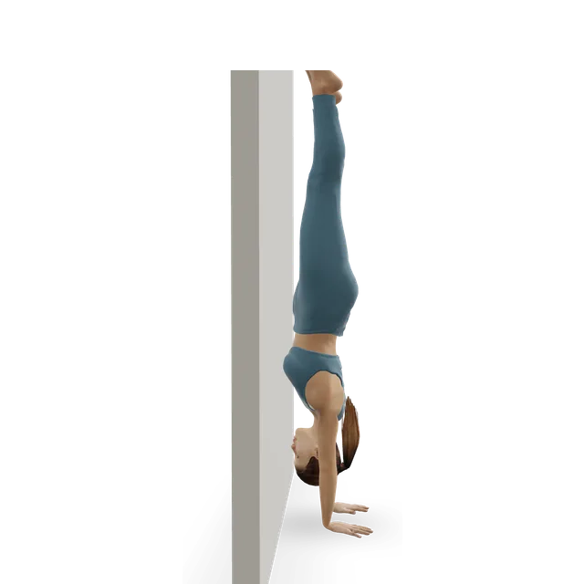 Wall handstand push-up demonstrated on the 3D figure