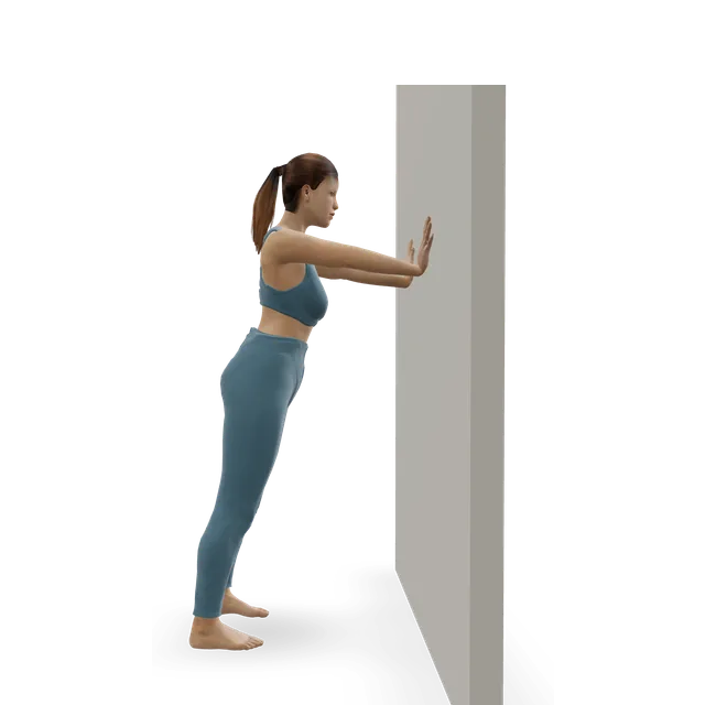 Wall push-up demonstrated on the 3D figure