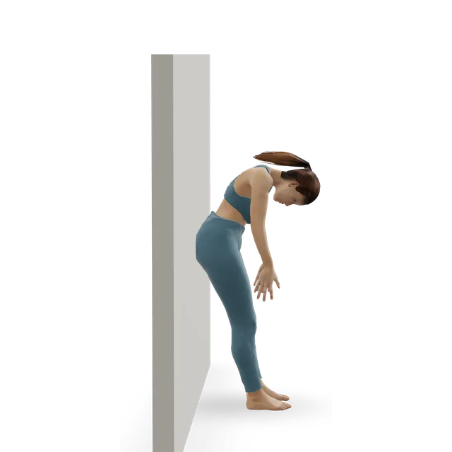 Wall roll-down (wall Pilates) demonstrated on the 3D figure