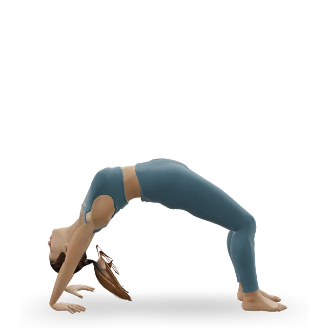 Wheel pose (Urdhva Dhanurasana) demonstrated on the 3D figure
